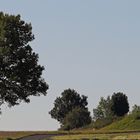 Aussichtsplattfom auf einem kleinen Hügel mit Beschriftungen auf Tafeln