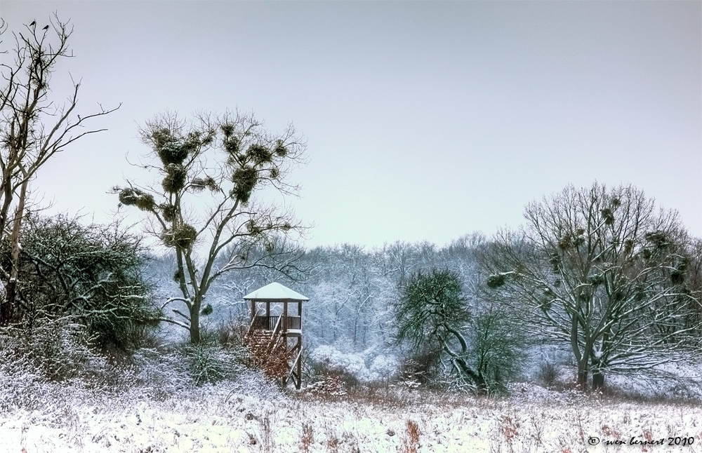 Aussichtsplattform in den Elbauen