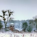 Aussichtsplattform in den Elbauen