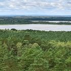 Aussichtsplattform Käflingsbergturm - Müritz Nationalpark