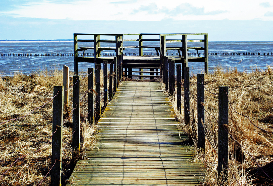 Aussichtsplattform mit Blick zur Insel Föhr