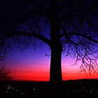 Aussichtsplattform Sparrenburg