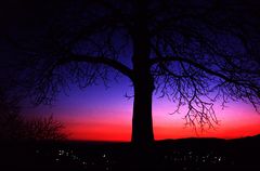 Aussichtsplattform Sparrenburg