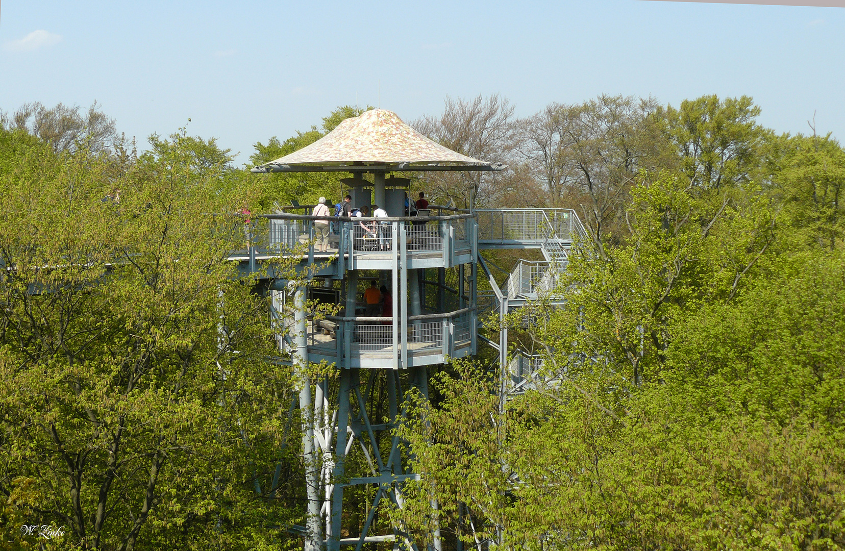 Aussichtsplattform über den Baumkronen im Nationalpark-Hainich