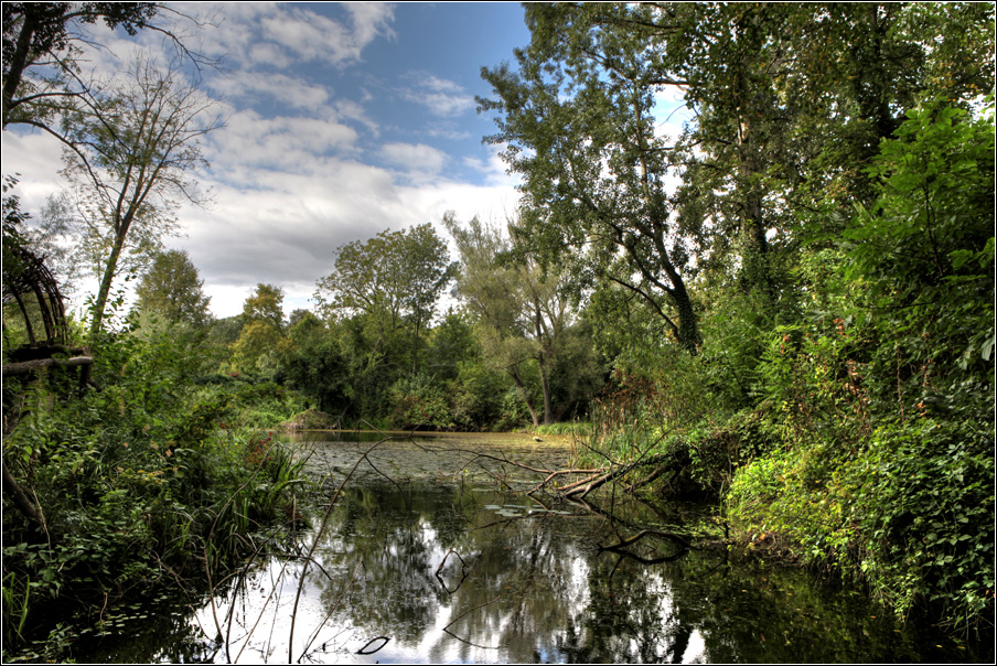 Aussichtsplatz im Nationalpark Donau Auen