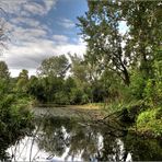 Aussichtsplatz im Nationalpark Donau Auen