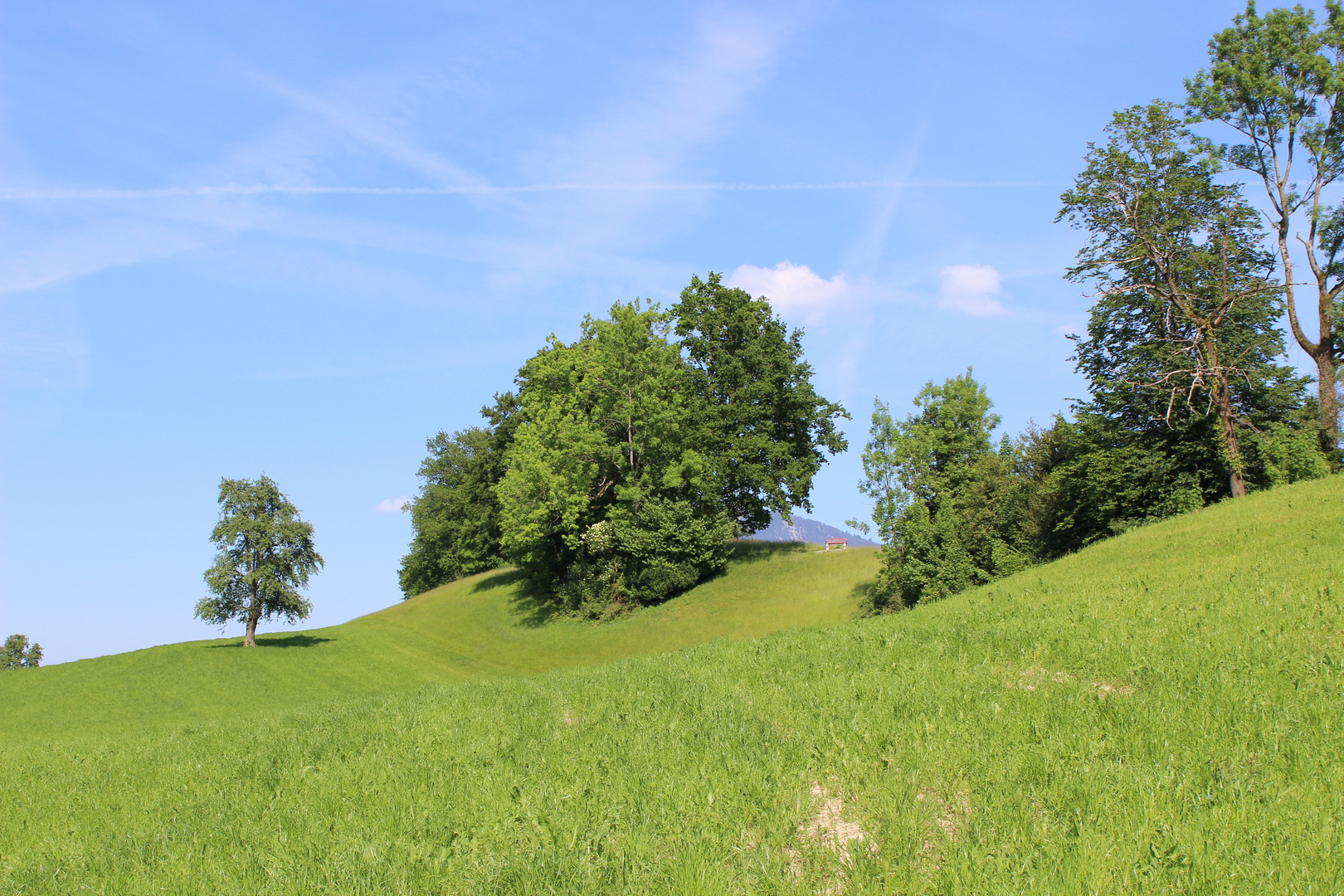 Aussichtspunkt ...