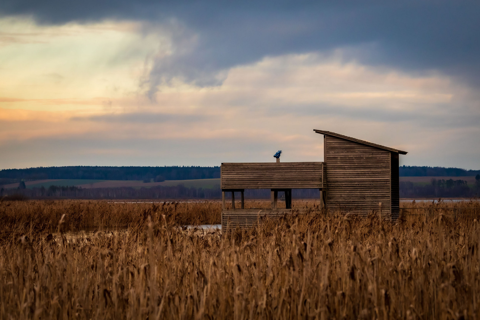 Aussichtspunkt am Federsee Steeg