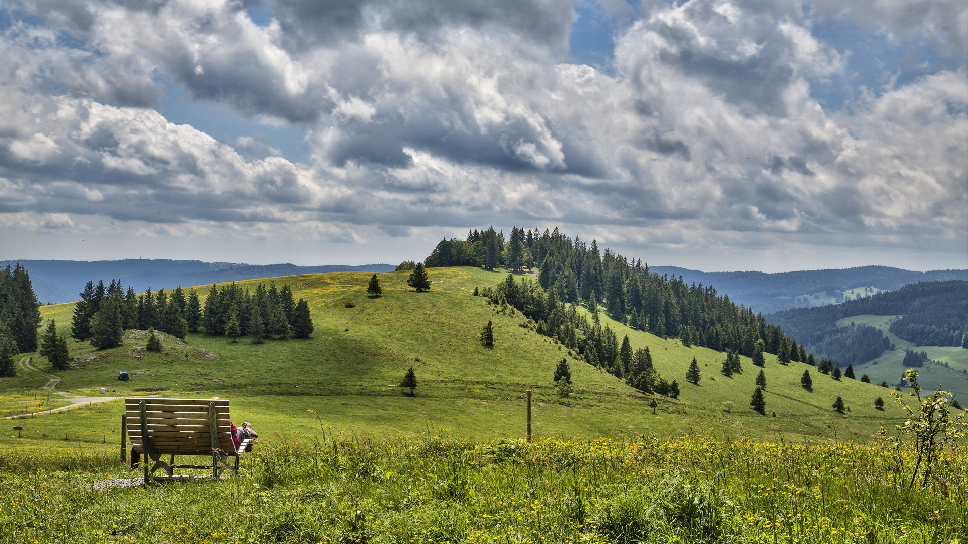 Aussichtspunkt auf dem Bernauer Hochtal Steig im Schwarzwald