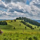 Aussichtspunkt auf dem Bernauer Hochtal Steig im Schwarzwald