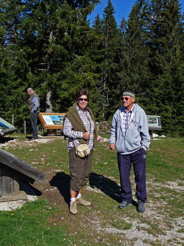 " Aussichtspunkt Bergsturz 1348 am Dobratsch "