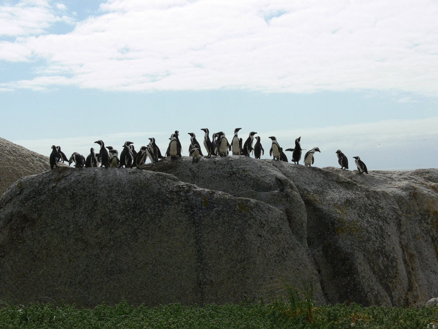 Aussichtspunkt der Pinguine am Boulders Beach