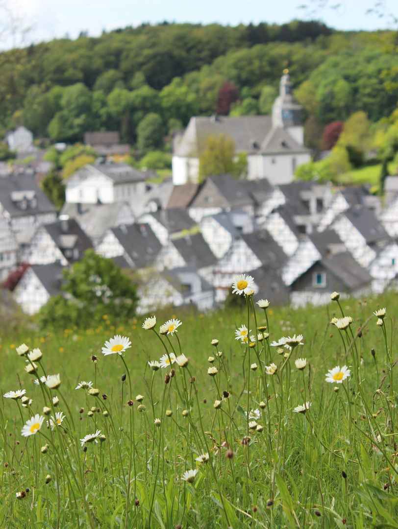 Aussichtspunkt Freudenberg