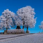 Aussichtspunkt Hohburkersdorfer Höhe 