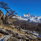 Aussichtspunkt mit Blick auf den Fitz Roy