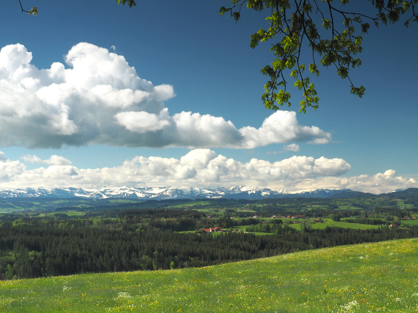 Aussichtspunkt "Siggener Höhe" im Landkreis Ravensburg