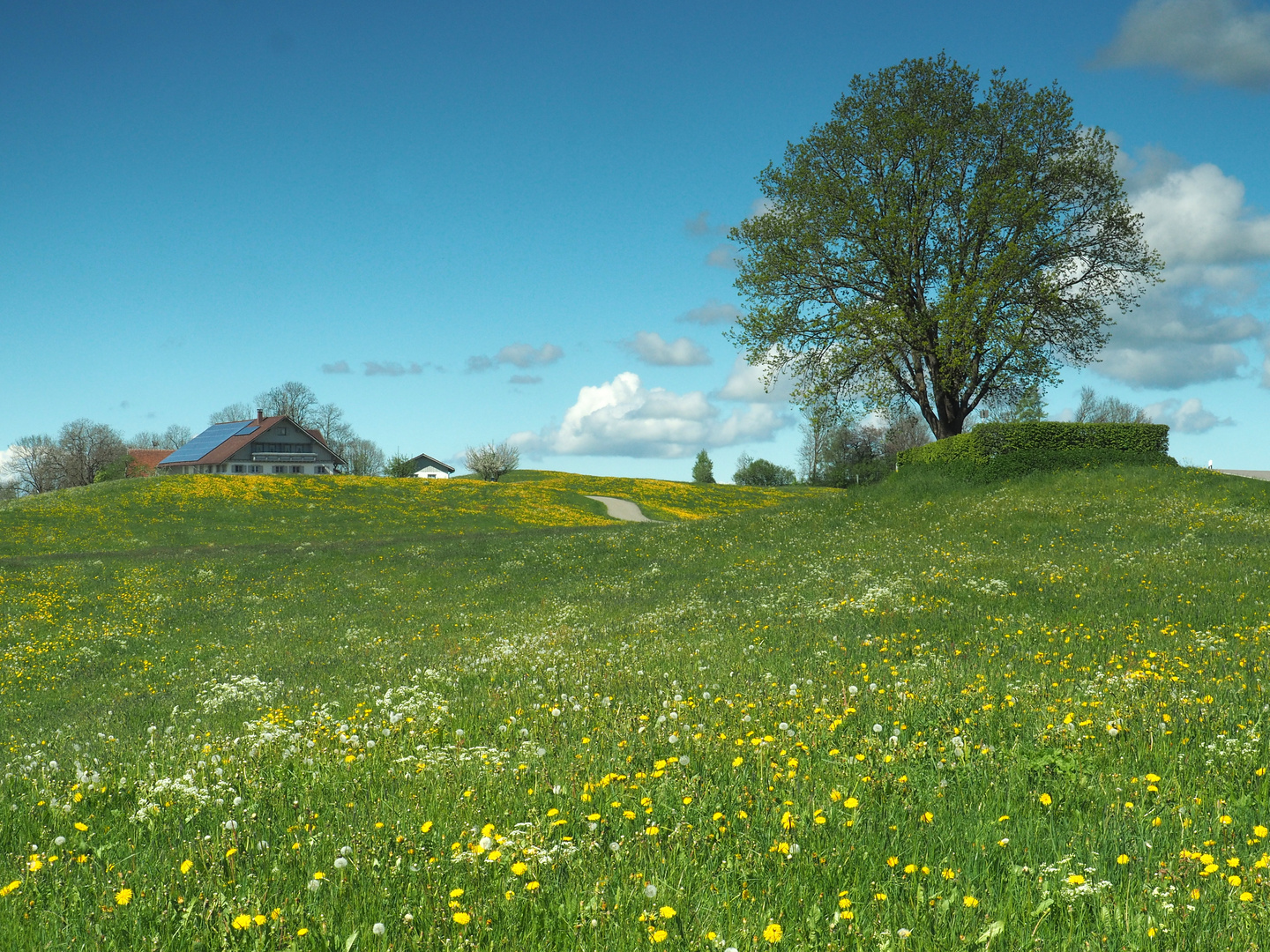 Aussichtspunkt "Siggener Höhe" im Landkreis Ravensburg