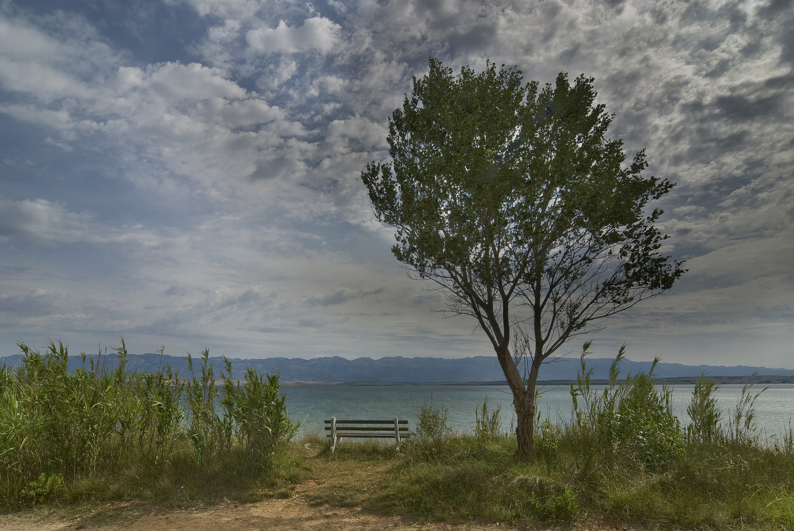 Aussichtspunkt über der Steilküste