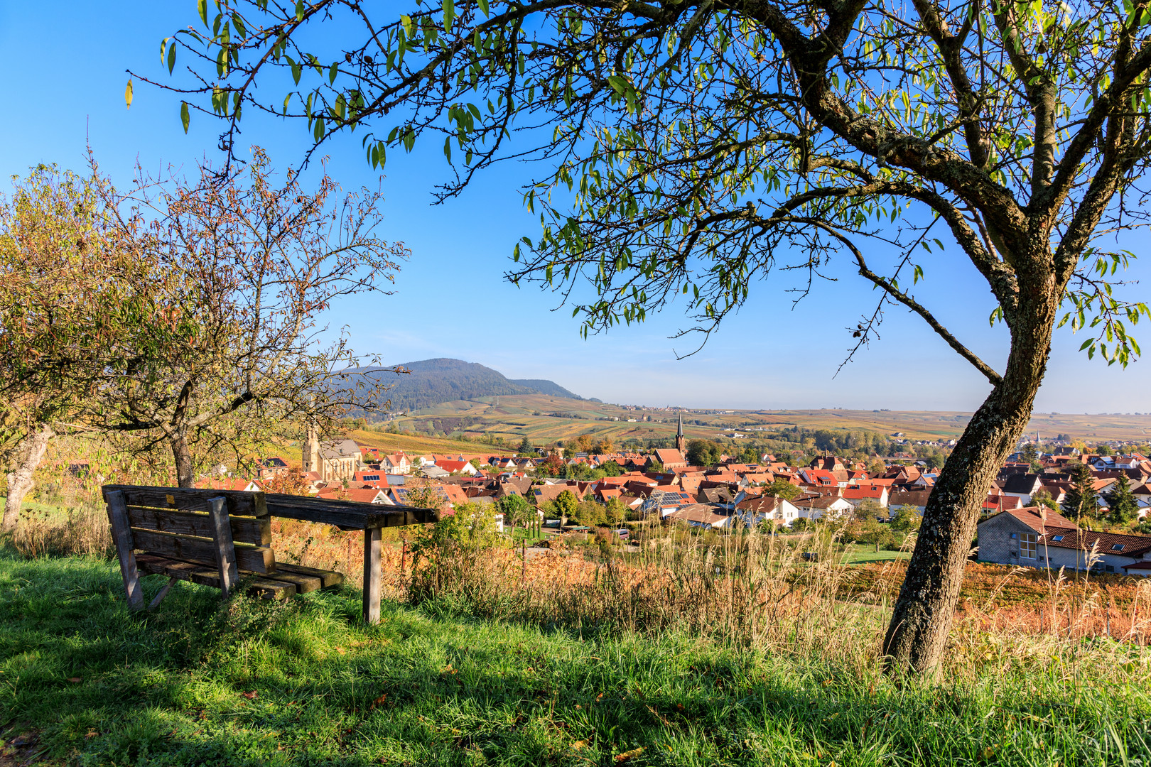 Aussichtsreich...