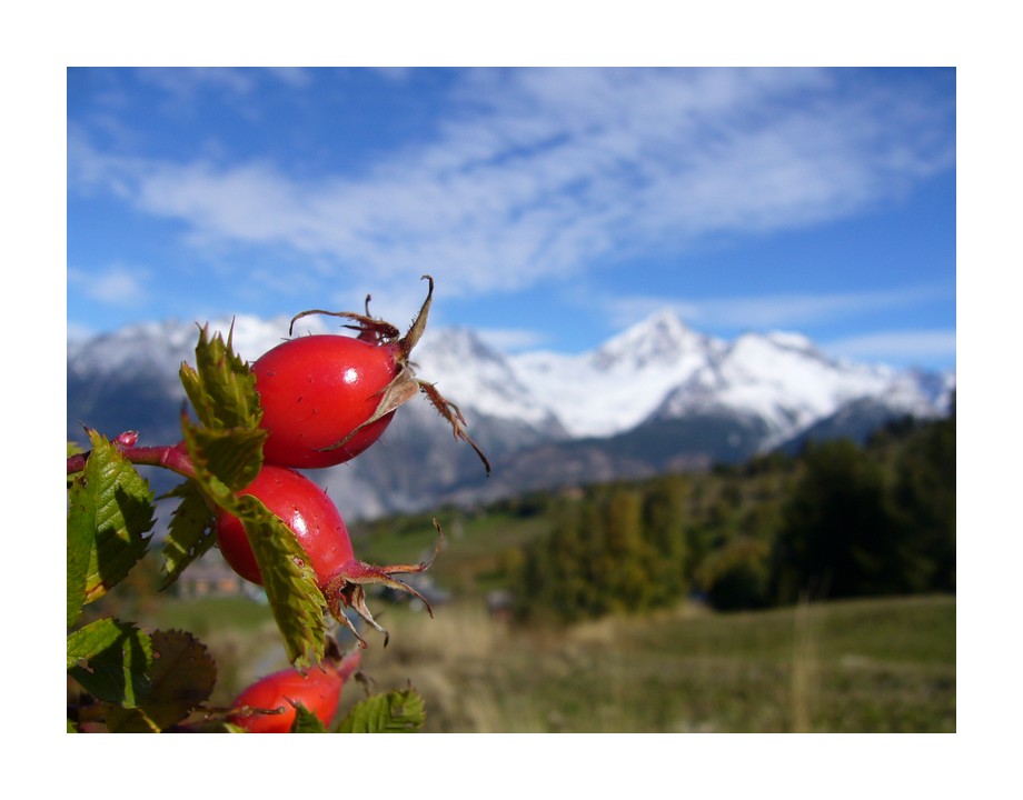 aussichtsreich II