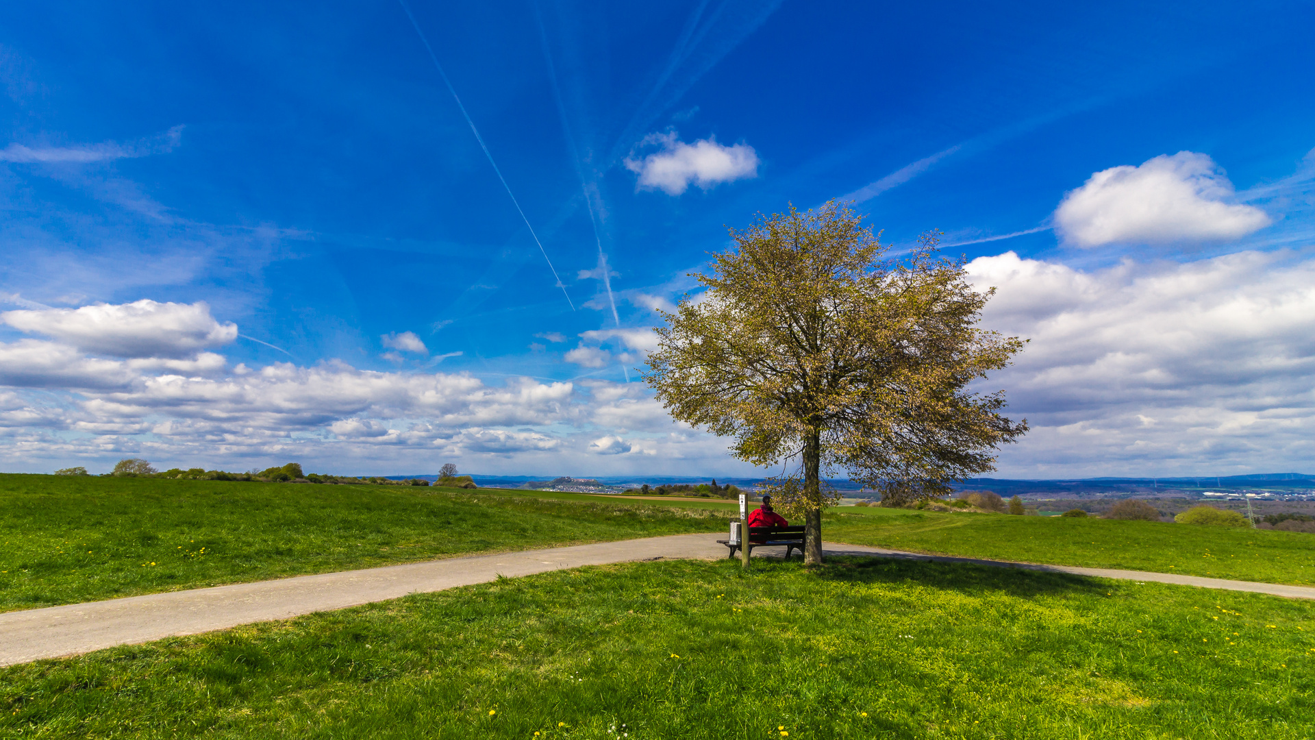 Aussichtsreiche Position bei der Bank