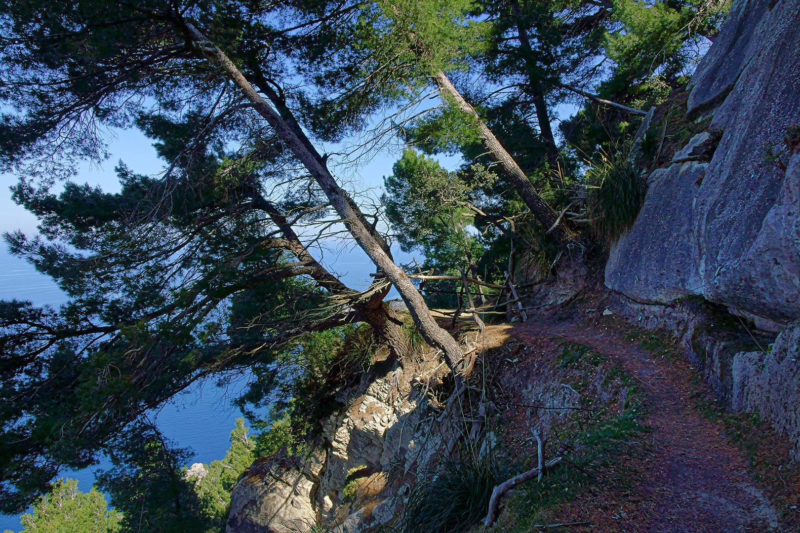 aussichtsreicher Wanderweg