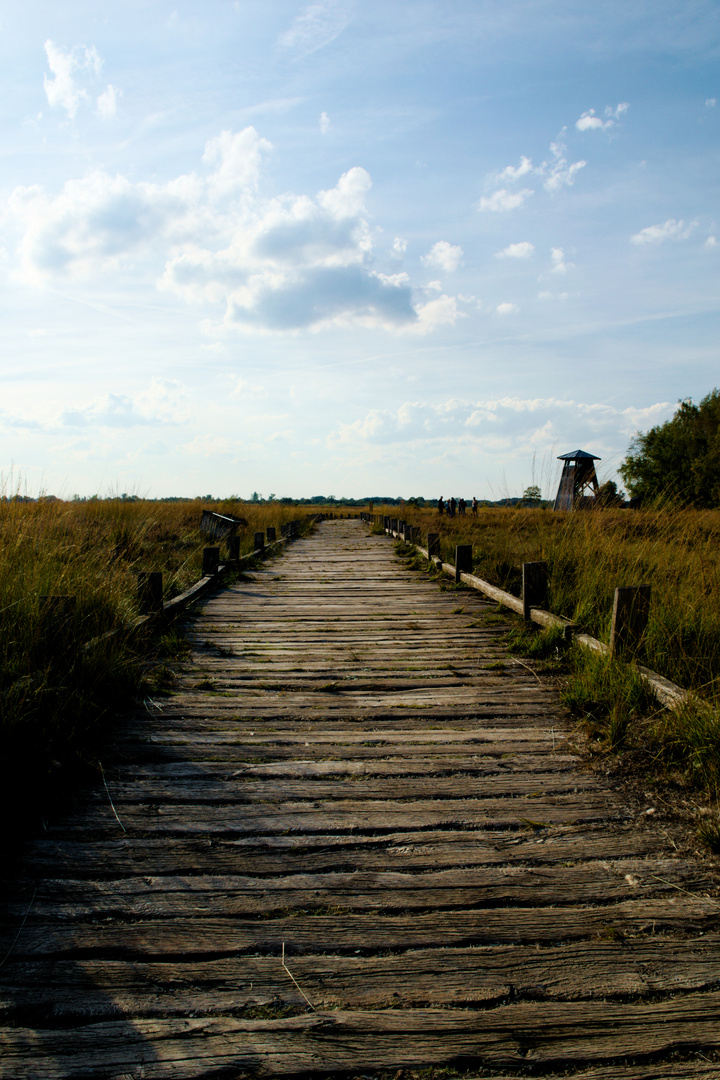 Aussichtsturm