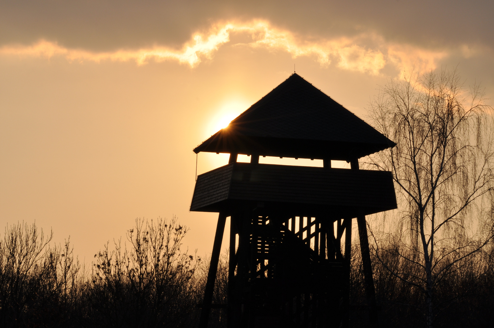 Aussichtsturm am Raßnitzer See