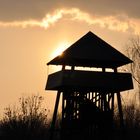 Aussichtsturm am Raßnitzer See