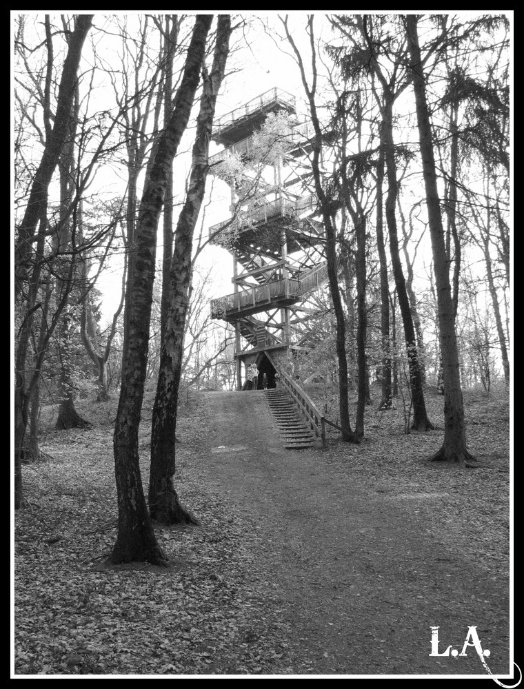 Aussichtsturm auf dem Mordkuhlenberg