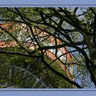 Aussichtsturm, Baumkronenpfad in Thüringen