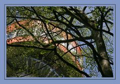 Aussichtsturm, Baumkronenpfad in Thüringen