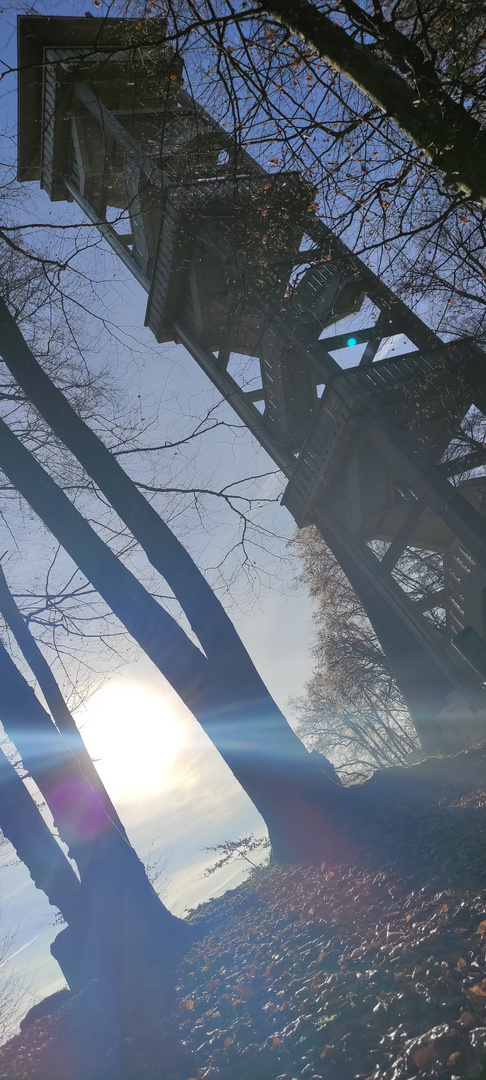 Aussichtsturm im Ebersberger Forst