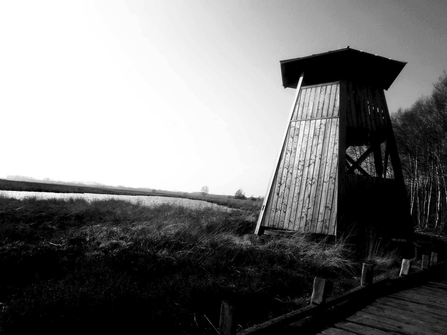 Aussichtsturm im Moor