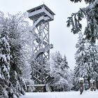 Aussichtsturm im Steinwald