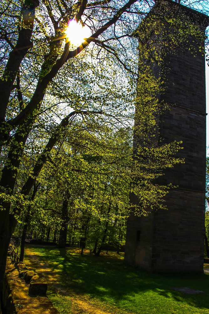 Aussichtsturm zwischen Sonne und Natur