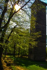 Aussichtsturm zwischen Sonne und Natur