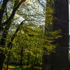 Aussichtsturm zwischen Sonne und Natur