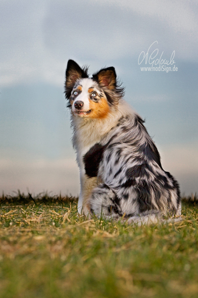 Aussie Amy im letzten Tageslicht