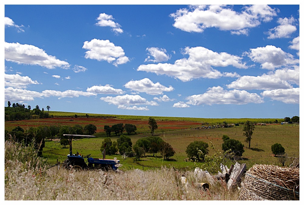 Aussie Countryside