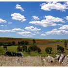 Aussie Countryside