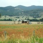 Aussie Hay Shed