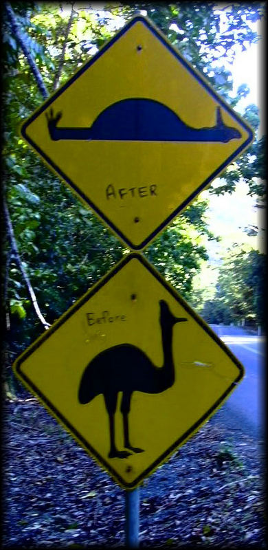 Aussie humor