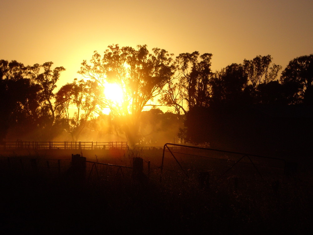 Aussie Sunrise