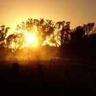 Aussie Sunrise