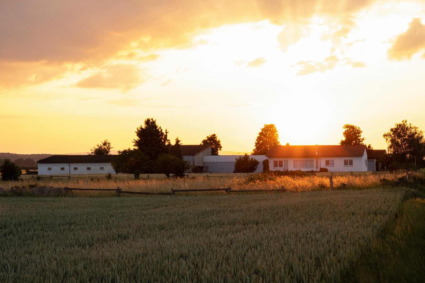 Aussiedlerhof im Abendlicht 