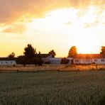 Aussiedlerhof im Abendlicht 