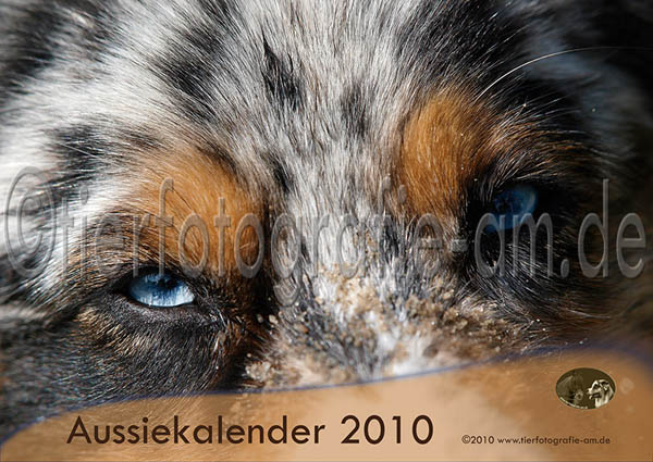 Aussiekalender 2010