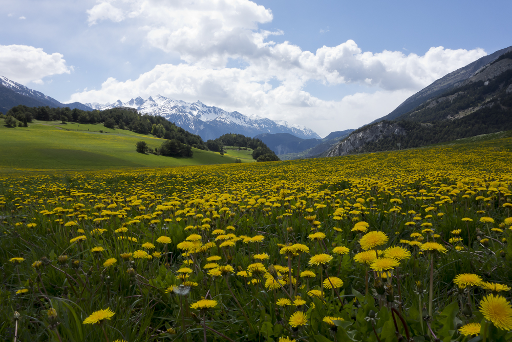 Aussois