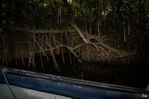 Aussteigen und zu Fuss ... / Now get out and walk...